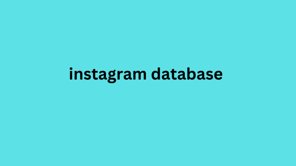 instagram database